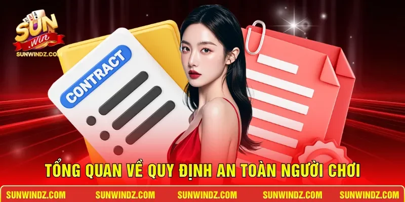 Tổng quan về quy định an toàn người chơi 